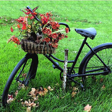 Gorgeous autumn images and text...